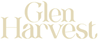 Glen Harvest Premium Makhana